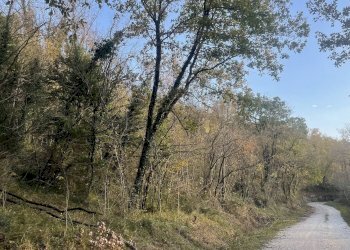 Terreno agricolo Frazione Castagna Cupa, Spoleto - foto 9