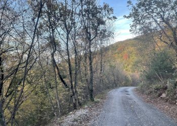 Terreno agricolo Frazione Castagna Cupa, Spoleto - foto 10