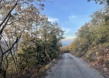 Terreno agricolo Frazione Castagna Cupa, Spoleto - foto 11