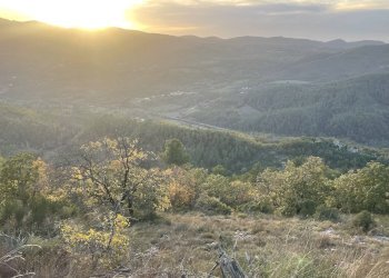 Terreno agricolo Frazione Castagna Cupa, Spoleto - foto 13
