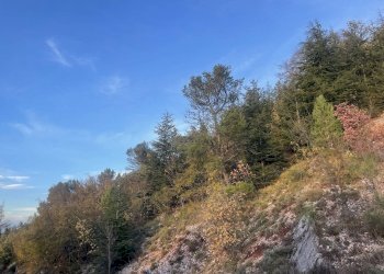 Terreno agricolo Frazione Castagna Cupa, Spoleto - foto 15