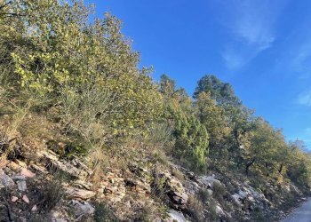 Terreno agricolo Frazione Castagna Cupa, Spoleto - foto 18