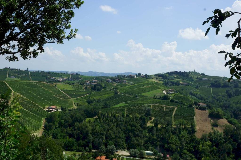 Vista - Rustico via Calva, Calosso - foto 2
