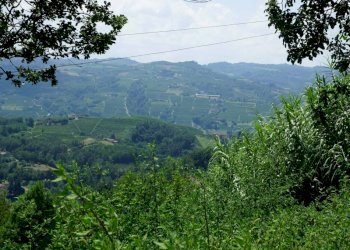 Rustico via Calva, Calosso - foto 7