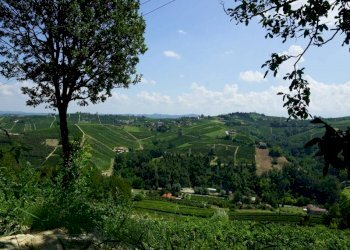 Rustico via Calva, Calosso - foto 10