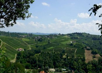 Rustico via Calva, Calosso - foto 11