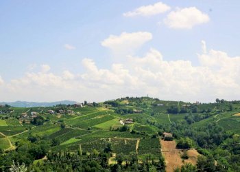 Rustico via Calva, Calosso - foto 40