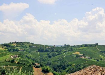 Rustico via Calva, Calosso - foto 41