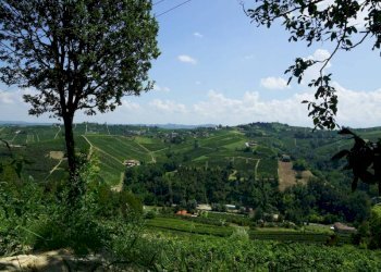 Vista - Rustic via Calva, Calosso - photo 11