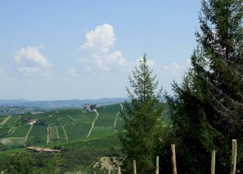Vista - Rustic via Calva, Calosso - photo 18
