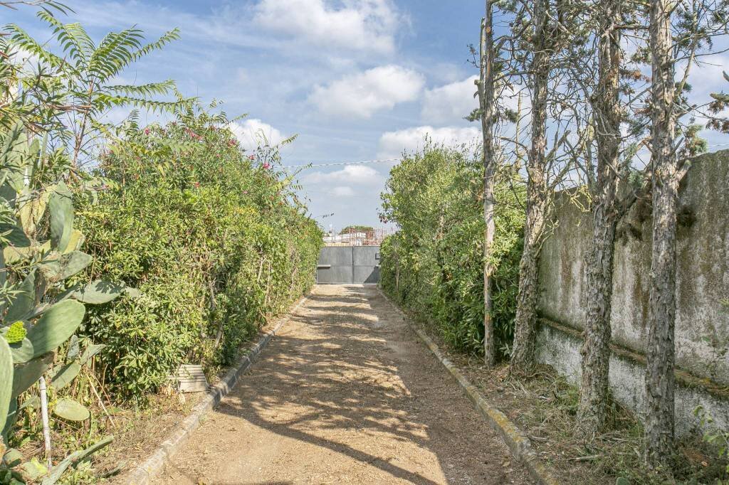 viale - Villa via della Cannuccia, Anzio - photo 2