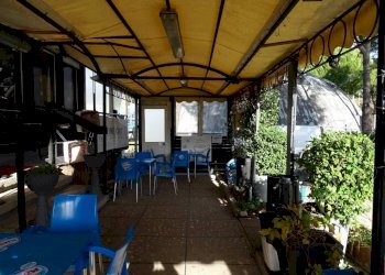 Bar Tavola Calda - Fredda via Benedetto Croce, Terni - foto 7