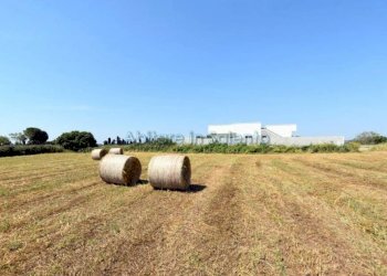 Terreno edificabile Gagliano del Capo - foto 3