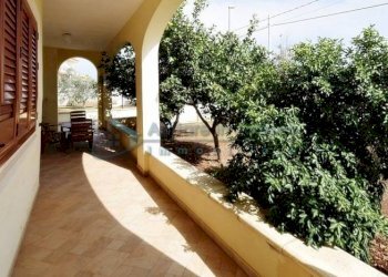 Esterno - Villa Gagliano del Capo - foto 19