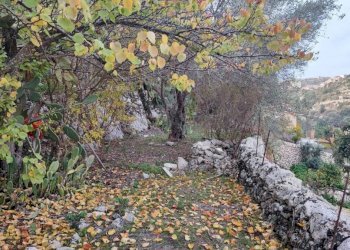 Giardino - Rustico via San Benedetto da Norcia, Modica - foto 6