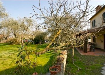 GIARDINO - Villa Ameglia - foto 8