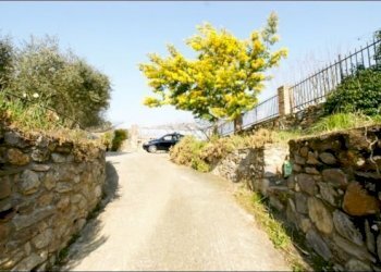 VIALETTO - Villa Ameglia - foto 20