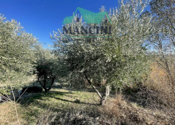 Casa indipendente VIA MADONNA DEL SOLE, Castelbellino - foto 12