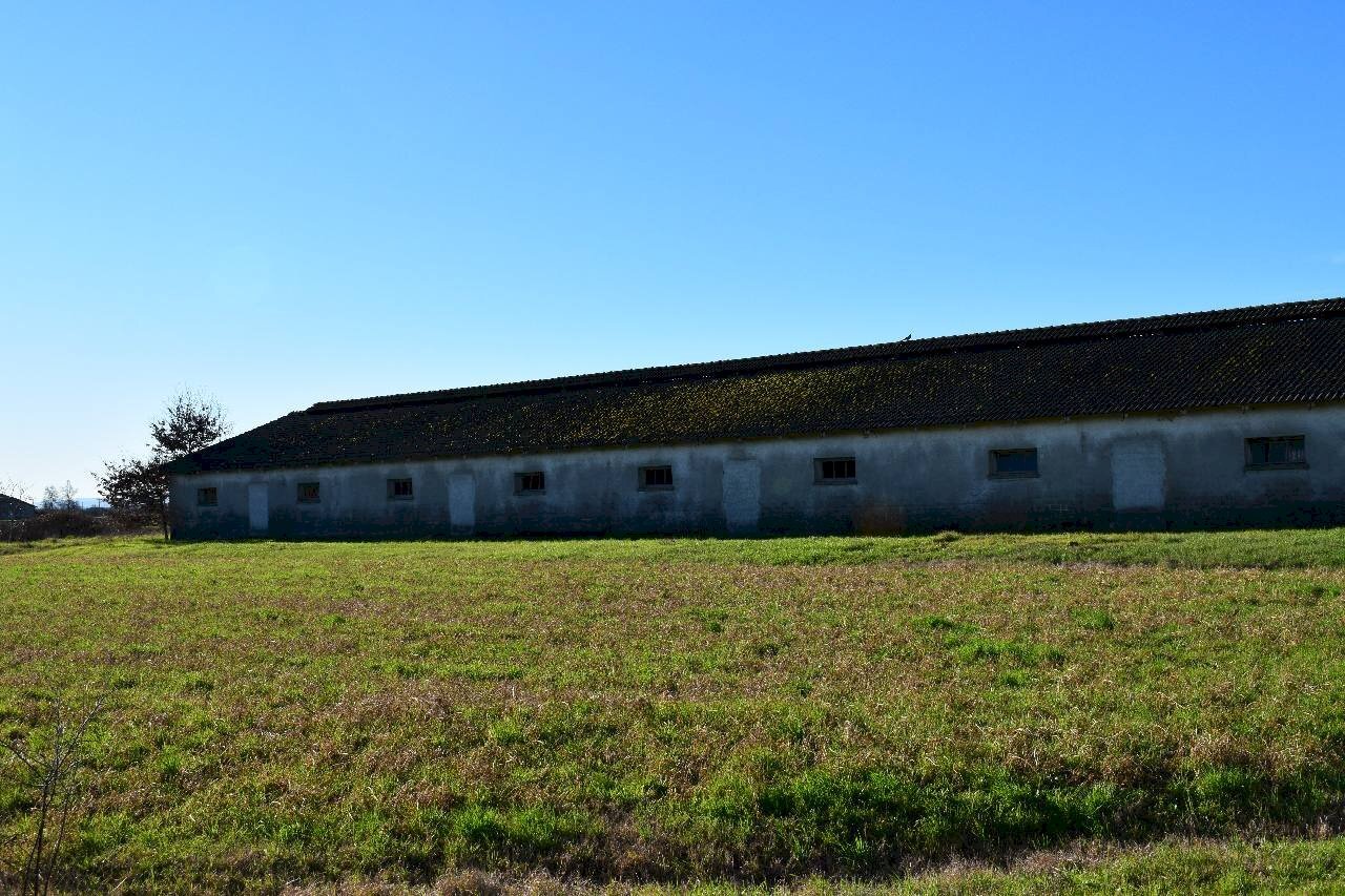 Casa indipendente Campegine - foto 3