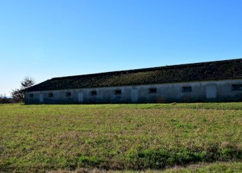 Independent house Campegine - photo 3