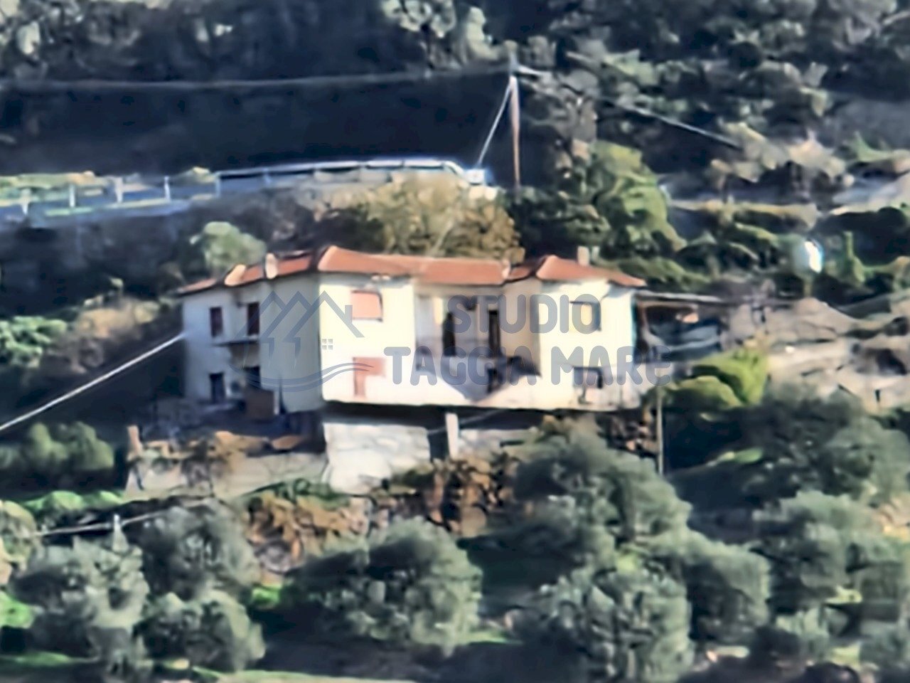 20231118_114333.jpg - Porzione di casa Strada Castellaro, Taggia - foto 3