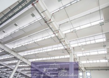 shed-luce-naturale-1030x686.jpg - Locale Commerciale Via del Cantone, Sesto Fiorentino - foto 14