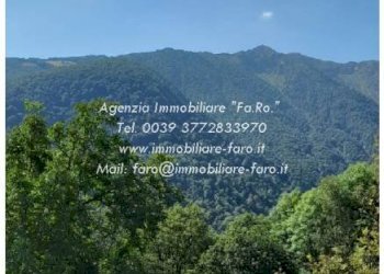 Vista - Rustic Località Camberto, Valle Cannobina - photo 9