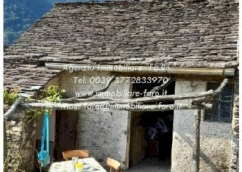 Vista - Rustic Località Camberto, Valle Cannobina - photo 31