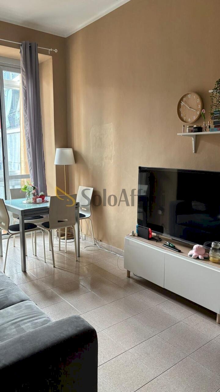 Senza titolo.jpg - Appartamento Via Valentino Carrera, Torino - foto 1