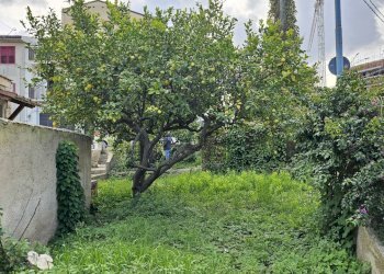 27.jpg - Casa indipendente Via San Giuliano Prima Traversa 2031, Modica - foto 14