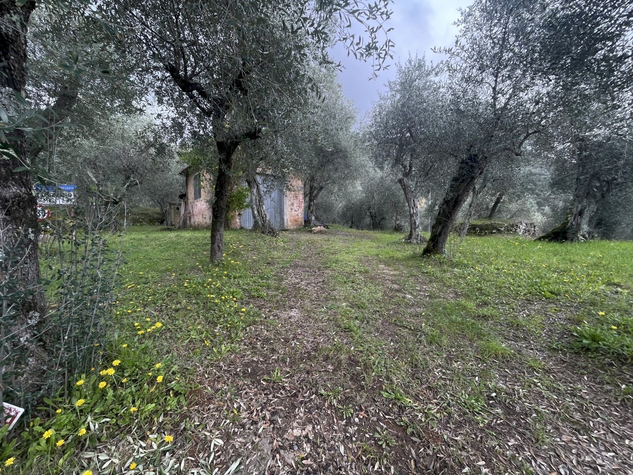 IMG_9711.JPG - Laboratorio Pietrasanta - foto 2