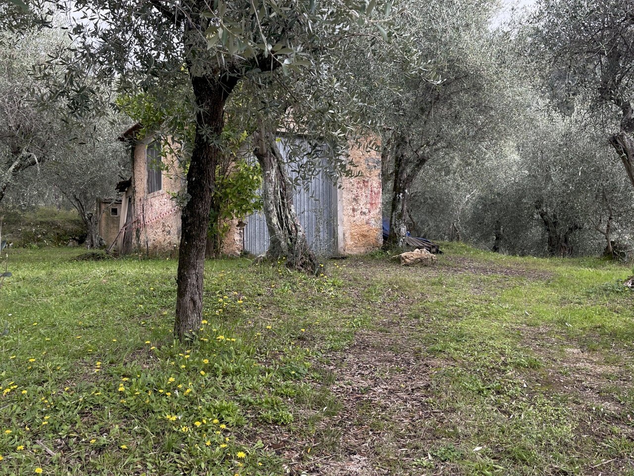 IMG_9712.JPG - Laboratorio Pietrasanta - foto 3