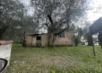 IMG_9715.JPG - Laboratorio Pietrasanta - foto 1