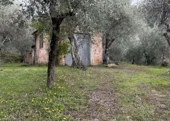 IMG_9712.JPG - Laboratorio Pietrasanta - foto 3