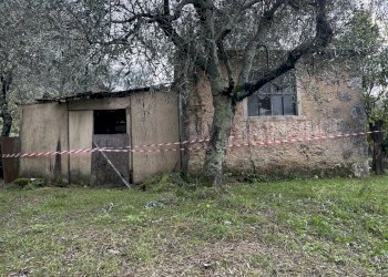 IMG_9714.JPG - Laboratorio Pietrasanta - foto 4