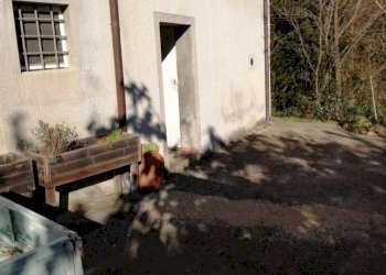 fbb11d93-9cf9-482d-8620-c809e0ed2298.jpeg - Portion of a house Seravezza - photo 4