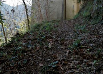 c5b08693-d313-4ef3-bb6c-e310cb8357d9.jpeg - Portion of a house Seravezza - photo 20