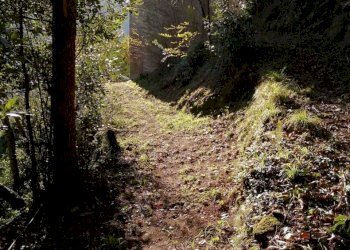 e5a8fcae-d0de-48f1-9a4c-7a383ae5f7d1.jpeg - Portion of a house Seravezza - photo 23