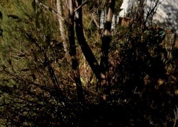 9501a0aa-f010-4686-9cf6-e83fc1ca91ed.jpeg - Portion of a house Seravezza - photo 29