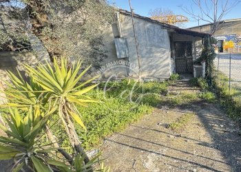 IMG_3469.JPG - Villa Seravezza - foto 17