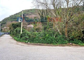 20231213_145250.jpg - Terreno agricolo Via Scarfoglio  7, Napoli - foto 7