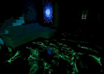 FOTOGRAFIA - Casa semi indipendente Lerici - foto 10