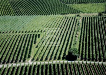 Rustico Via San Martino, Solferino - foto 19