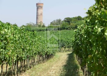 Rustico Via San Martino, Solferino - foto 21