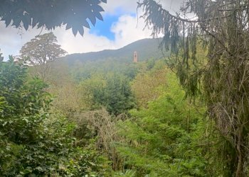 IMG20231021095029.jpg - Casa indipendente Via Calcinara di Torbi 19, Ceranesi - foto 22