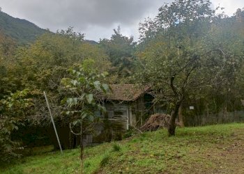 IMG20231021095207.jpg - Casa indipendente Via Calcinara di Torbi 19, Ceranesi - foto 24