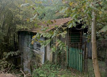 IMG20231021095223.jpg - Casa indipendente Via Calcinara di Torbi 19, Ceranesi - foto 25