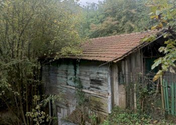 IMG20231021095234.jpg - Casa indipendente Via Calcinara di Torbi 19, Ceranesi - foto 26