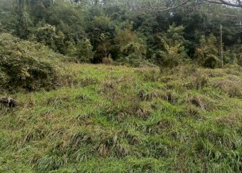 IMG20231021095300.jpg - Casa indipendente Via Calcinara di Torbi 19, Ceranesi - foto 27