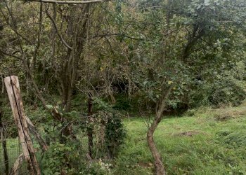 IMG20231021095304.jpg - Casa indipendente Via Calcinara di Torbi 19, Ceranesi - foto 28